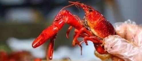 吃小龙虾后住进ICU？横纹肌溶解症惹的祸