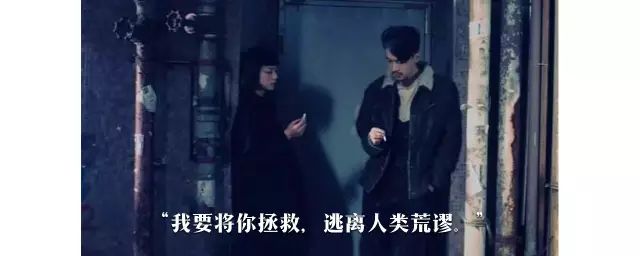 林欣彤：重光三部曲 娛樂 第19張