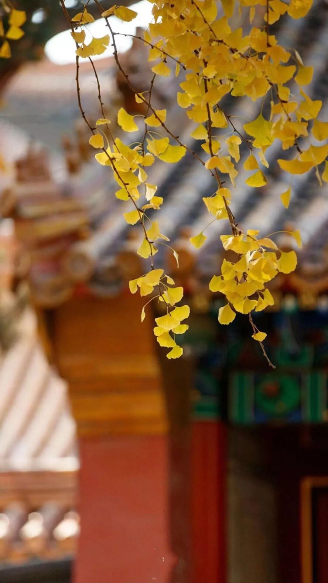 壁纸丨别怕失败 大不了从头来过 潮圈子 微信公众号文章阅读 Wemp