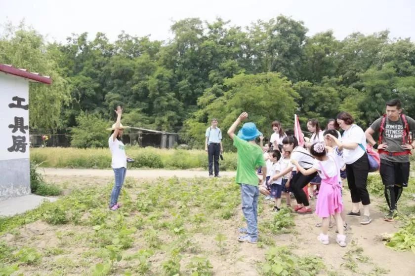与康明斯合作“一米花园”项目