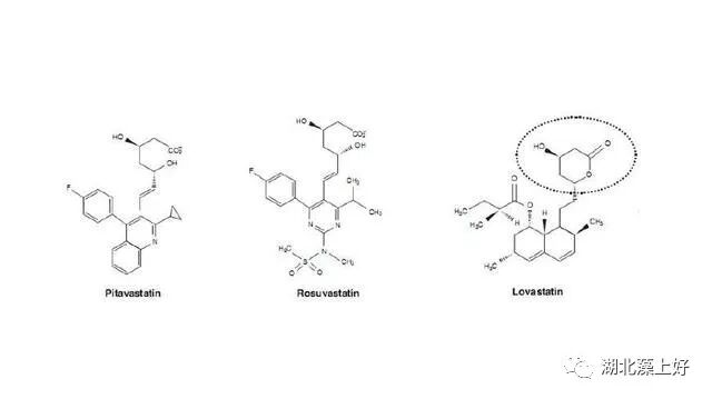 他汀种类这么多，你用对了吗？