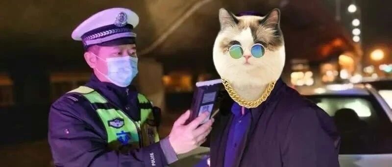 郑州交警刚刚发布！百日行动，集中整治！