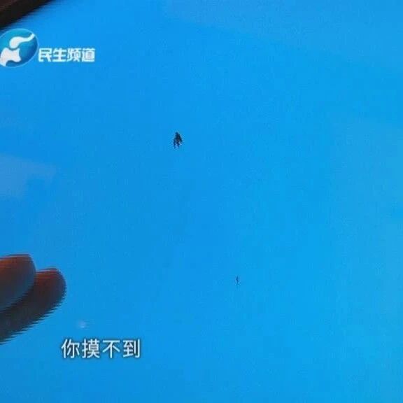 稀奇！电视机屏幕钻进多只虫子，售后回应比电视剧还有“戏”！
