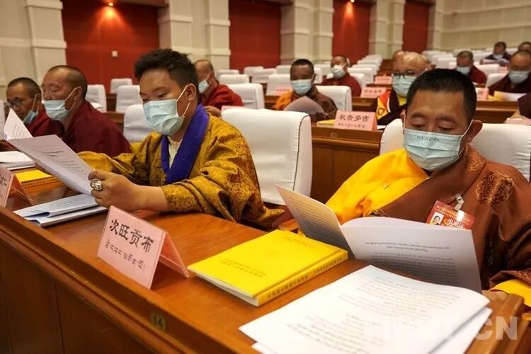 引领藏传佛教健康发展 推进藏传佛教中国化