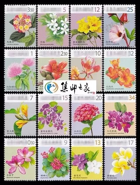 这么漂亮的花卉邮票 您想拥有吗 自由微信 Freewechat