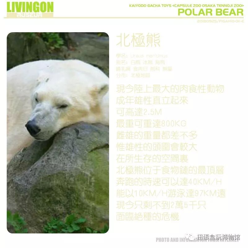 扭蛋测评 海洋堂天王寺动物园 扭蛋盒玩博物馆 微信公众号文章阅读 Wemp