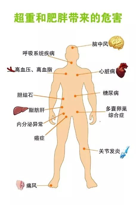 一定嗖+一代女皇益生菌減肥糖瘦身三劍客讓天下沒有胖子！ 運動 第2張