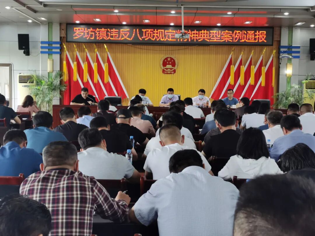 罗坊镇党委对村社区党组织书记开展集体政治谈话