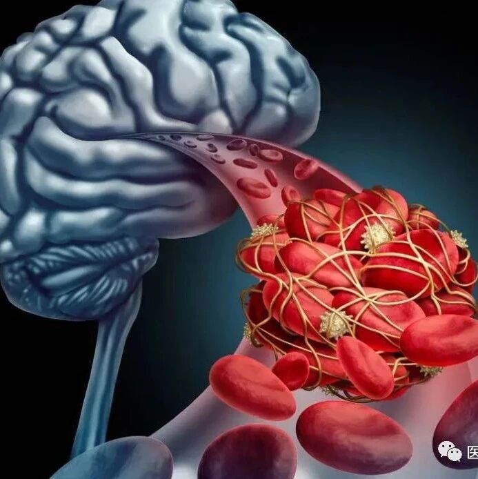 2023-12-21药事资讯