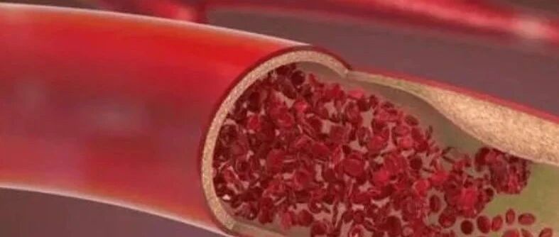 2025-05-27药事资讯