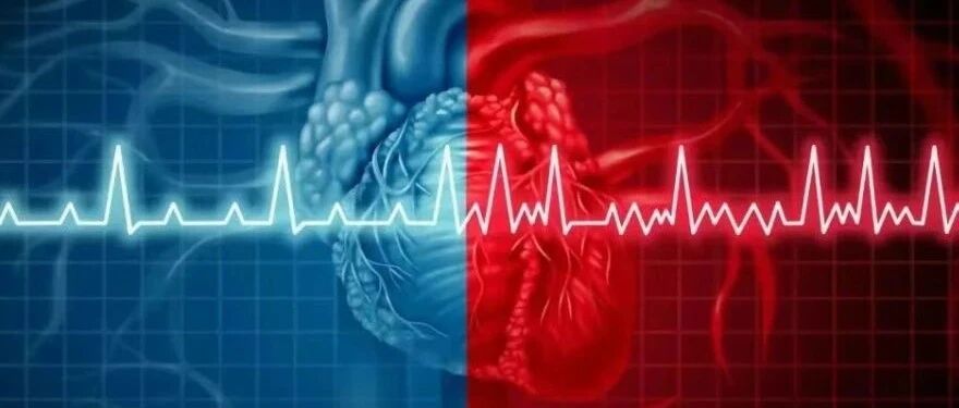 2025-06-11药事资讯