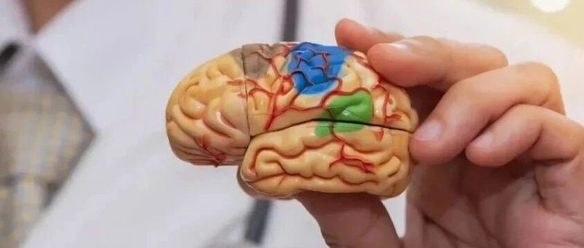 2025-05-13药事资讯