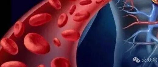 2024-02-26药事资讯