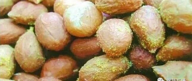 这些毒性是砒霜的68倍，赶紧看看自家有没有！