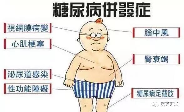 荷蘭科學家發明糖尿病治療新技術 甚至告別胰島素 健康 第3張