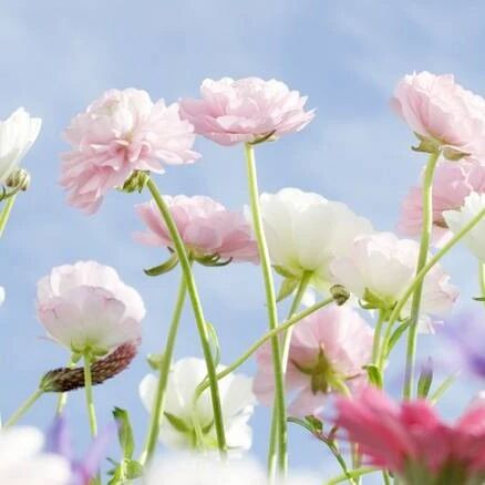 2023-12-14药事资讯