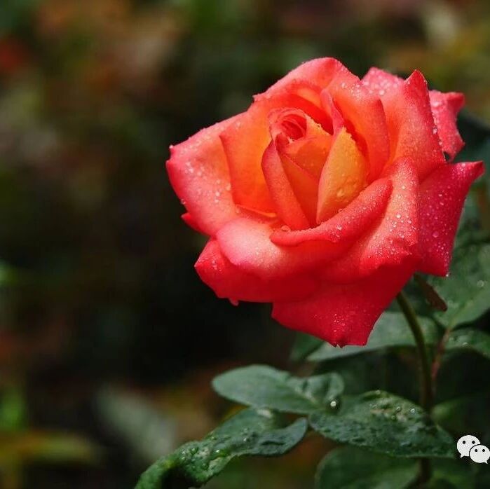 2024-01-11药事资讯