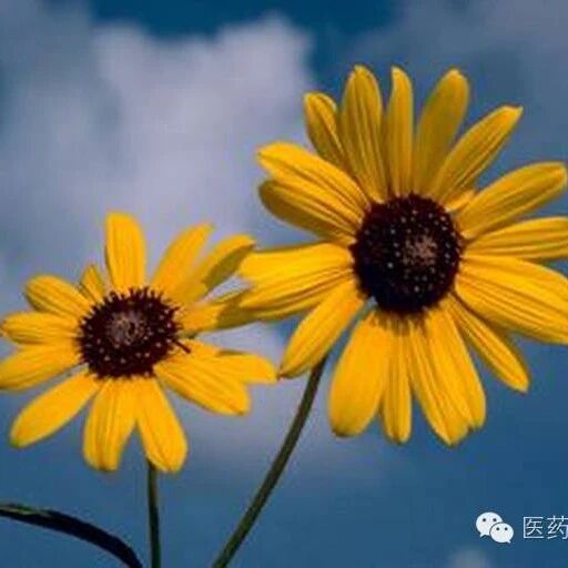 2024-01-08药事资讯