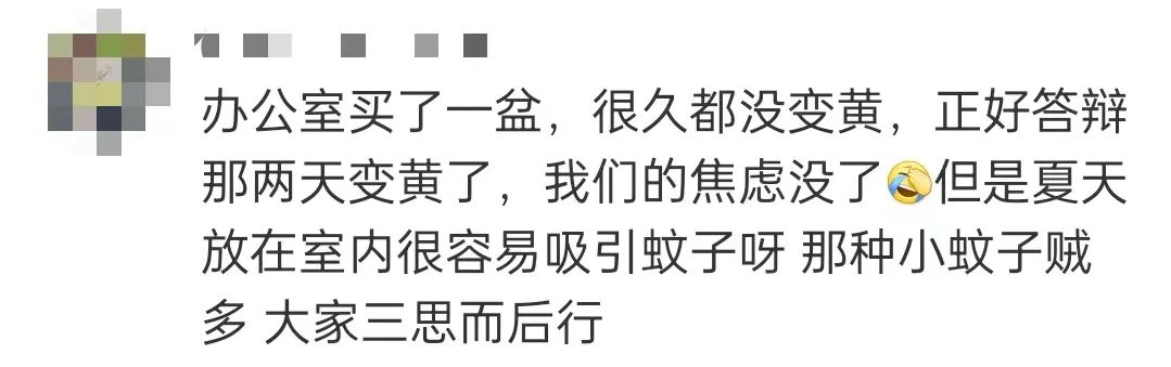 大厂员工离职后卖蕉绿月入200万