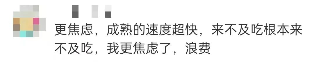 大厂员工离职后卖蕉绿月入200万