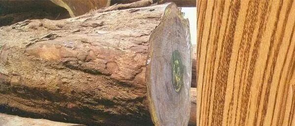 地?zé)岬匕灏倌臼兰裚大木地板價(jià)格_大藝樹地板和大友地板