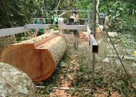 地?zé)岬匕灏倌臼兰裚大藝樹地板和大友地板_大木地板價(jià)格