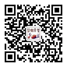 外焦内里松软韭菜粉丝早餐饼|照着做就能成-微信头条网 外焦内里松软韭菜粉丝早餐饼|照着做就能成
