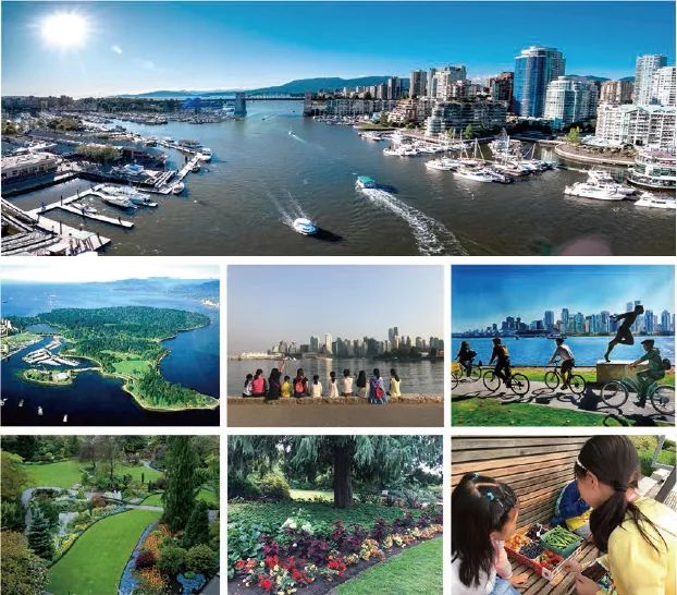 【报名通告】第七届世界杯青少年现场绘画大赛暨枫叶小熊加拿大暑期亲子夏令营开始报名