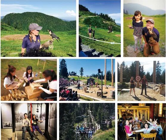 【报名通告】第七届世界杯青少年现场绘画大赛暨枫叶小熊加拿大暑期亲子夏令营开始报名