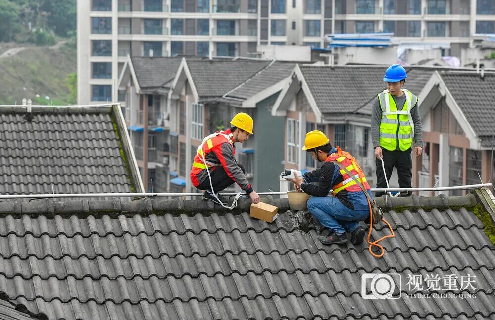 从男子高空抛物砸人被判死刑说起