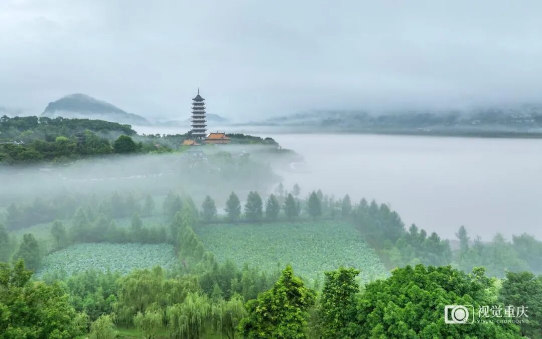 年輕的長江，奔騰的“后浪”