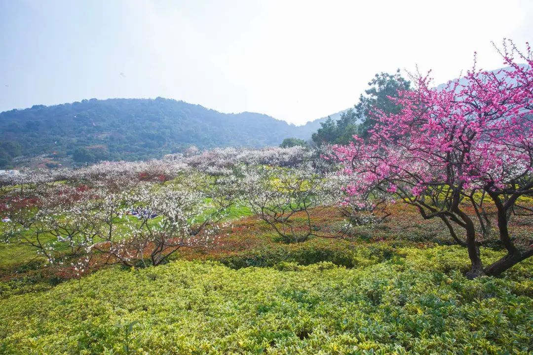 上海资讯