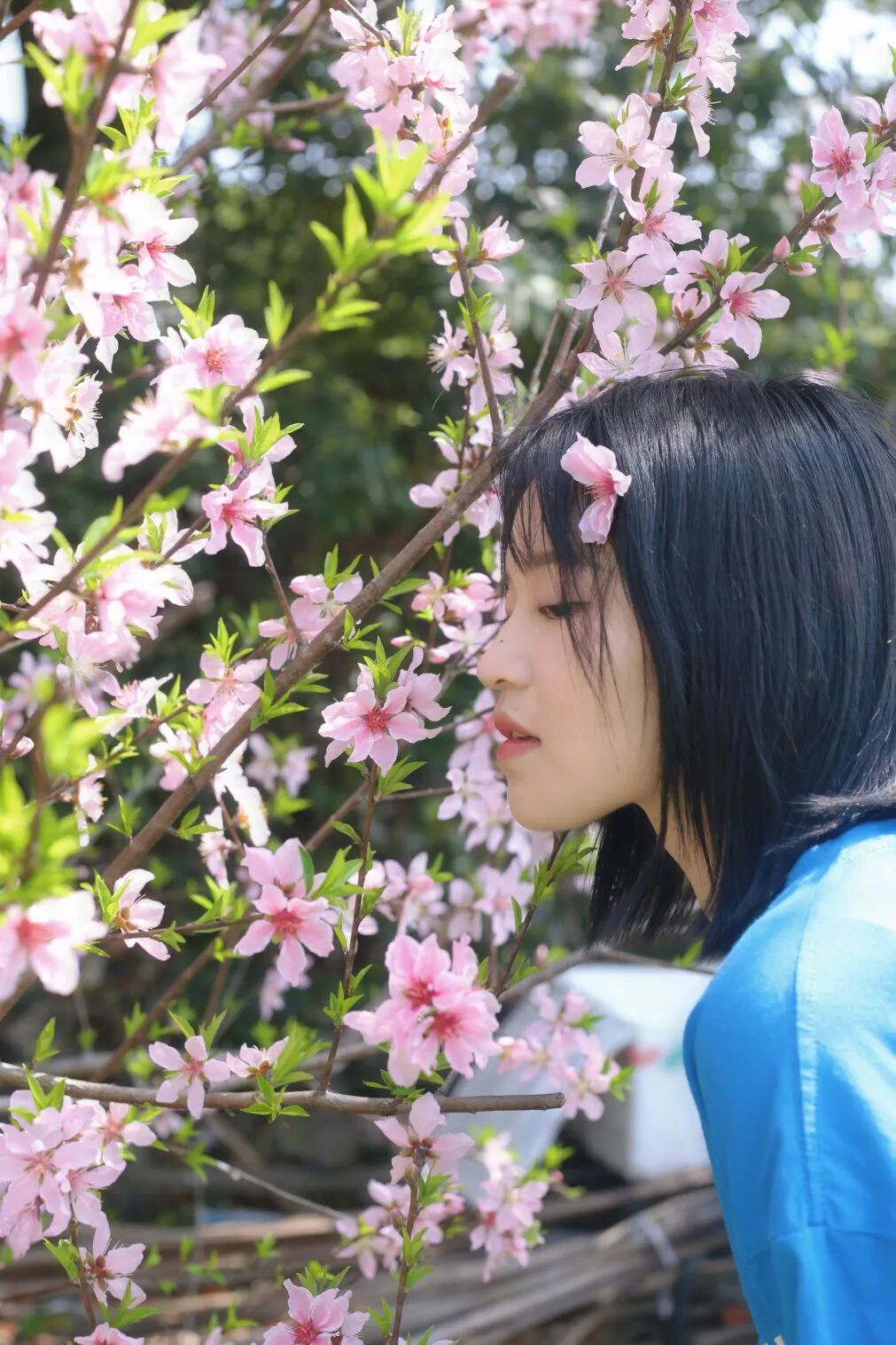 干货诸暨春季赏花攻略来啦错过又要等一年