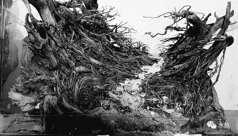 赛级水景缸开缸参考！第4张-好摄之途