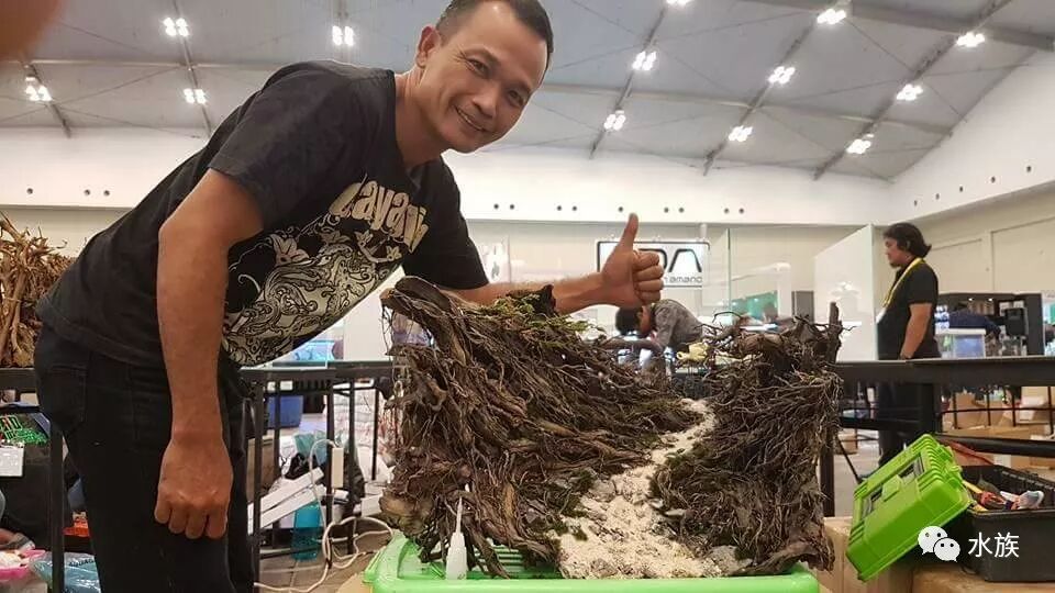 赛级水景缸开缸参考！第8张-好摄之途