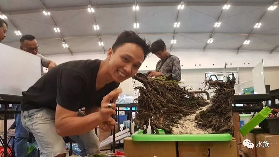 赛级水景缸开缸参考！第7张-好摄之途