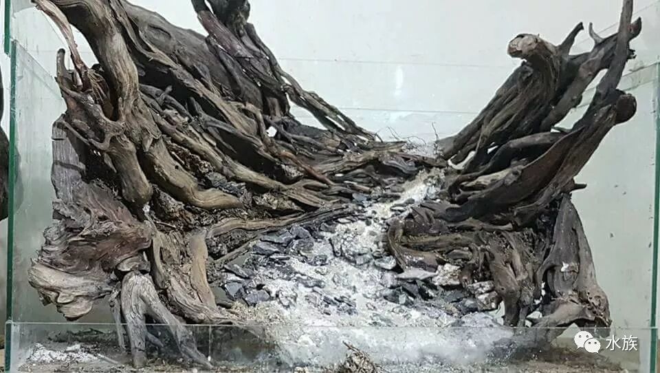 赛级水景缸开缸参考！第2张-好摄之途