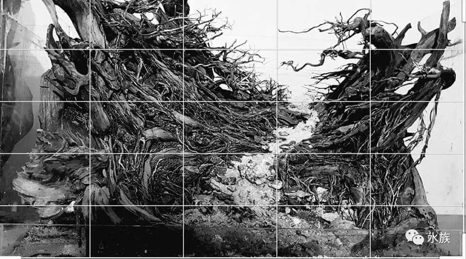 赛级水景缸开缸参考！第5张-好摄之途