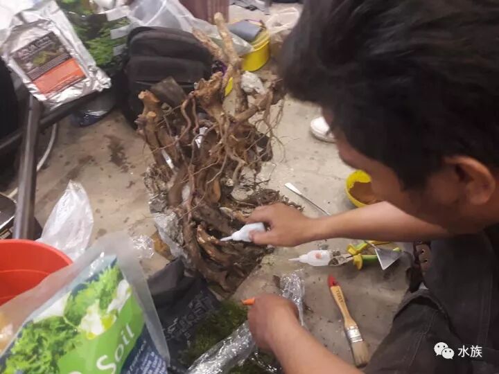 赛级水景缸开缸参考！第3张-好摄之途