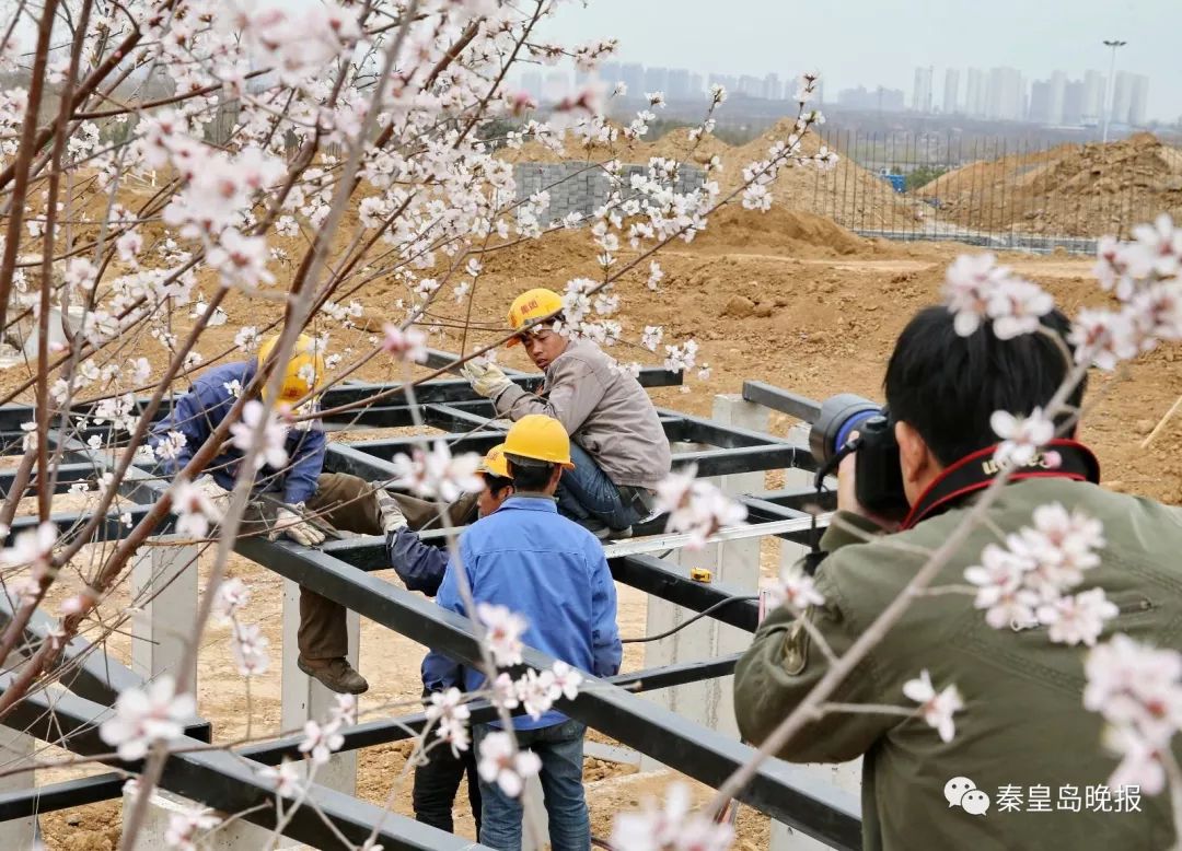 獨家！秦皇島史上最大公園最新消息！