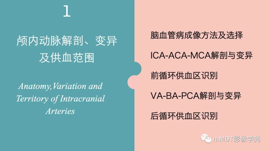 mmd在医学上什么意思第二期脑血管病影像诊断培训班报名公告_https://www.jmylbn.com_新闻资讯_第8张