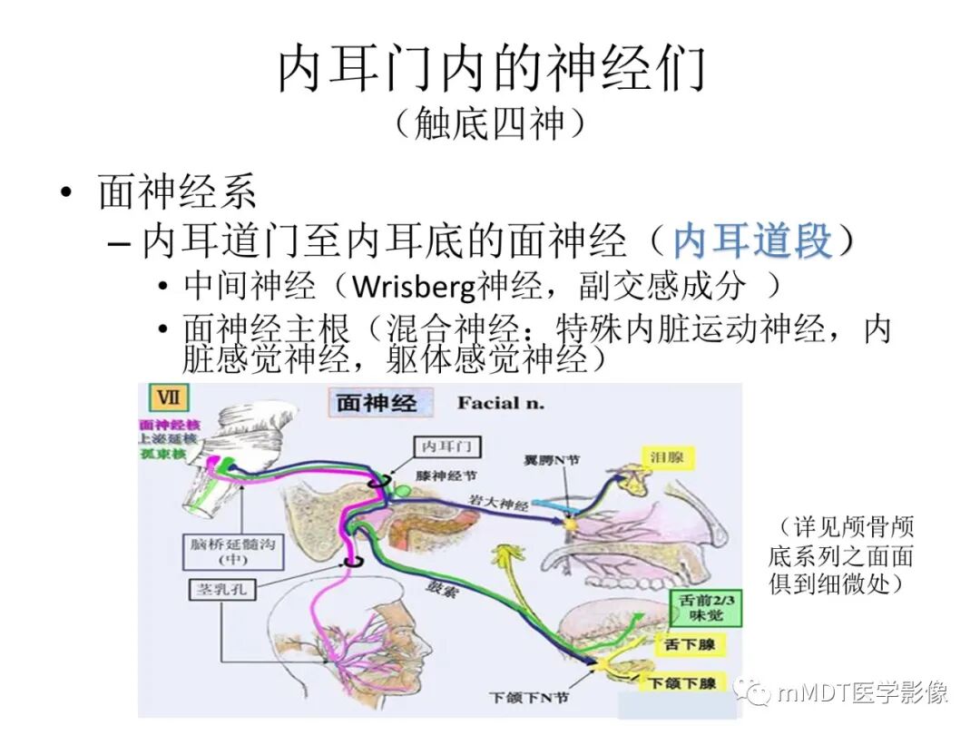 mmd在医学上什么意思触底四神共一门——穿行在内耳道的神经们_https://www.jmylbn.com_新闻资讯_第8张