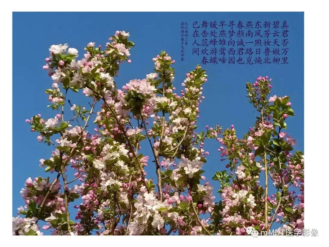 mmd在医学上什么意思触底四神共一门——穿行在内耳道的神经们_https://www.jmylbn.com_新闻资讯_第43张