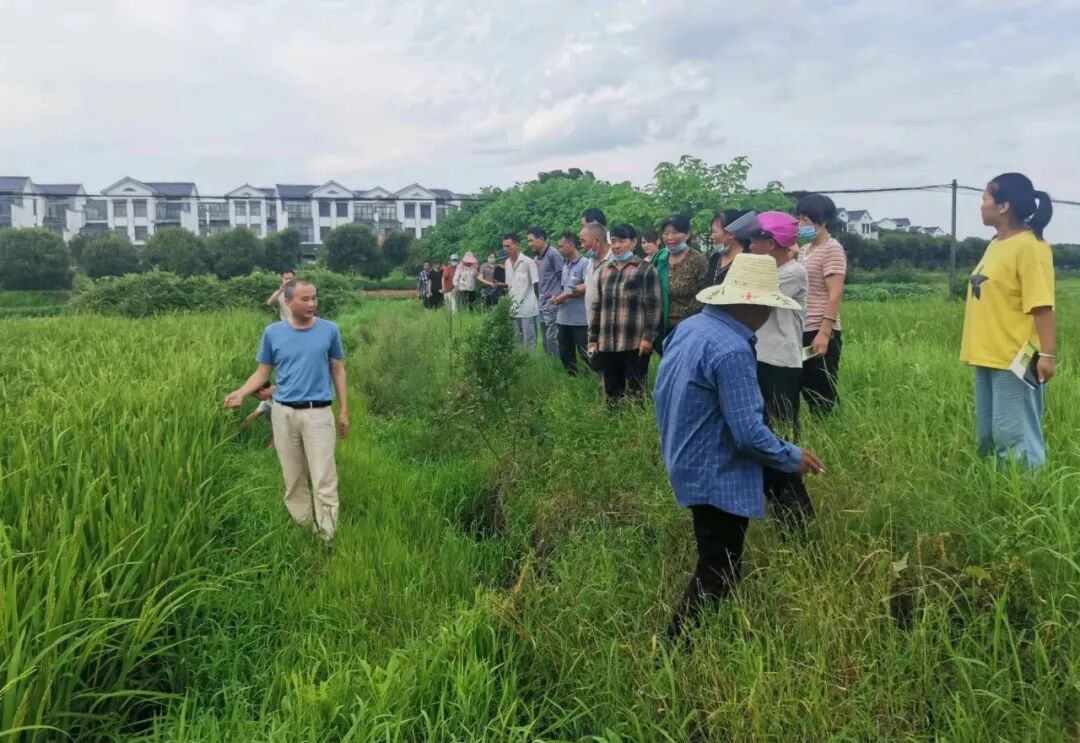 樟树市阁山镇秉持四心让政务公开到群众心坎里