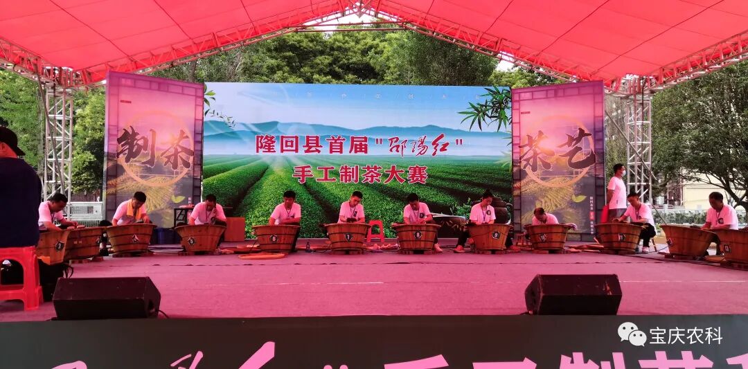 “隆回茶香，技创未来” 隆回县举行首届“邵阳红”手工制茶和茶艺技能大赛_邵阳头条网