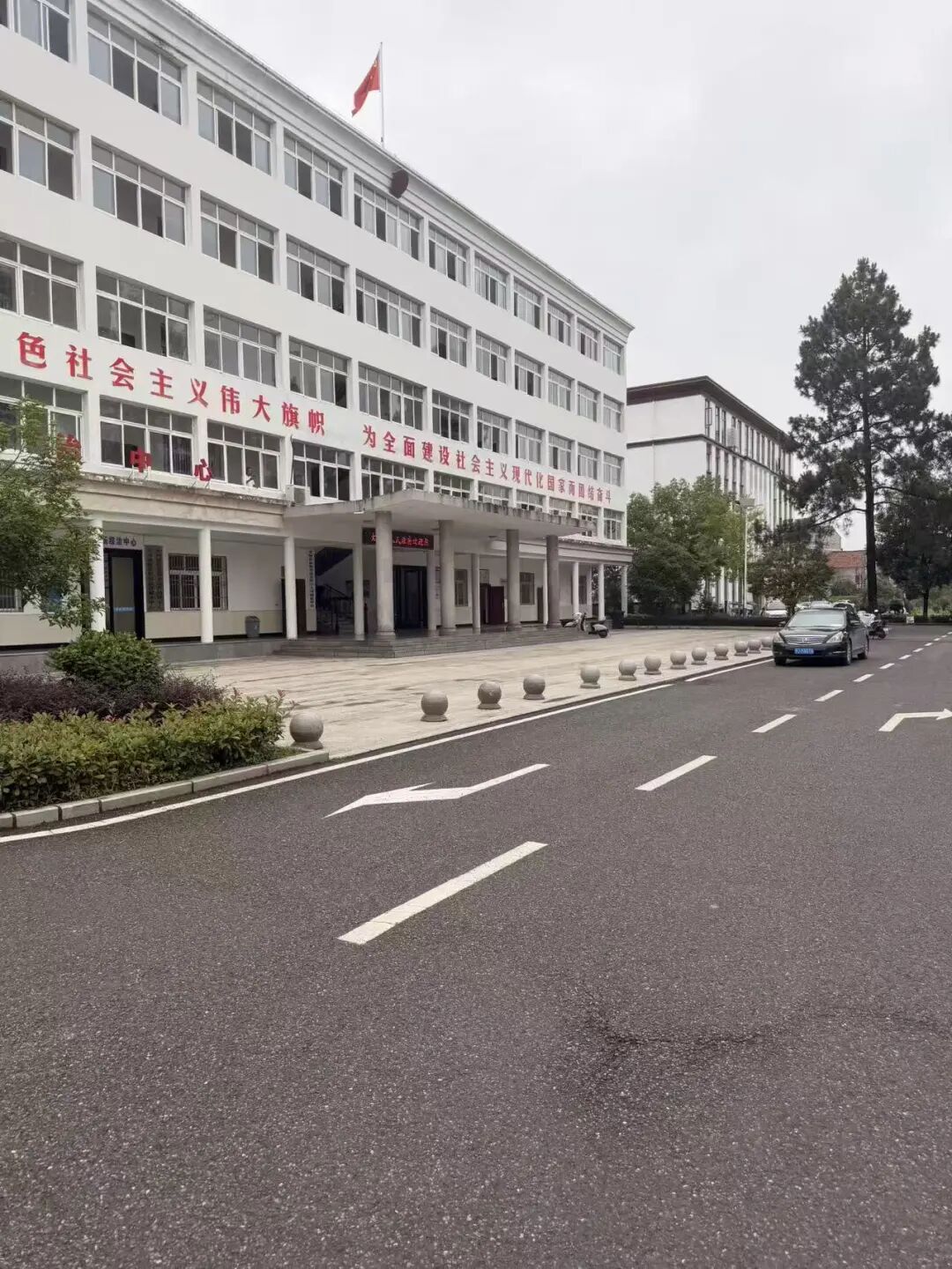 奔跑的蚂蚁｜2026年 第二十四周：深耕专业培训铸强根基，步履不息践诺为民