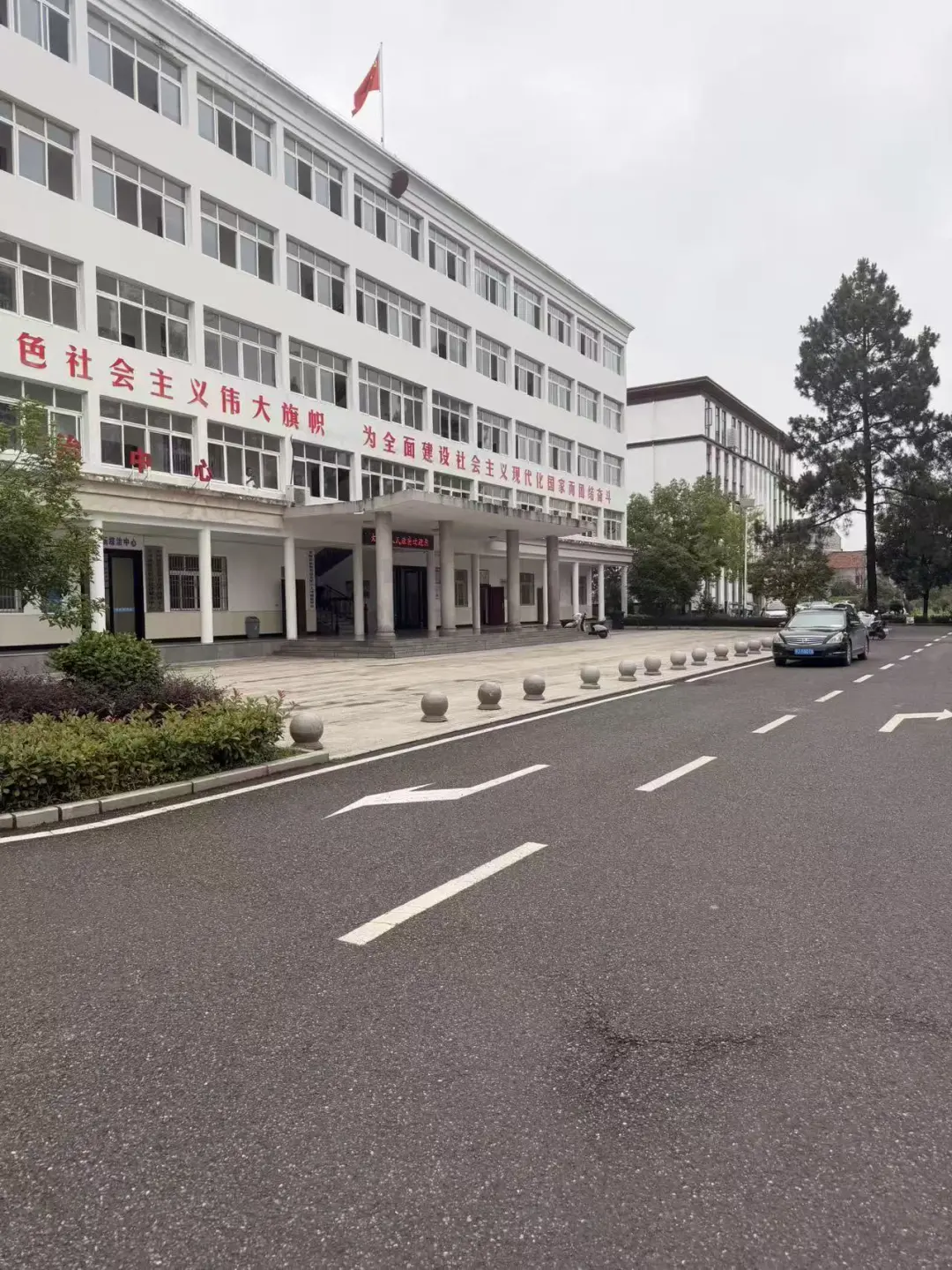 奔跑的蚂蚁|2026年 第二十四周:深耕专业培训铸强根基,步履不息践诺为民