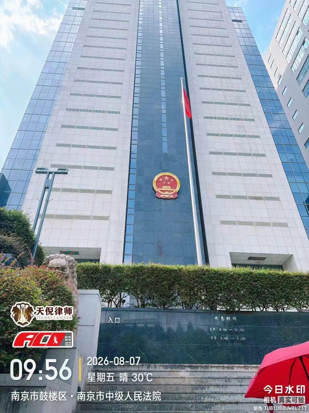 奔跑的蚂蚁｜2026年 第二十四周：深耕专业培训铸强根基，步履不息践诺为民