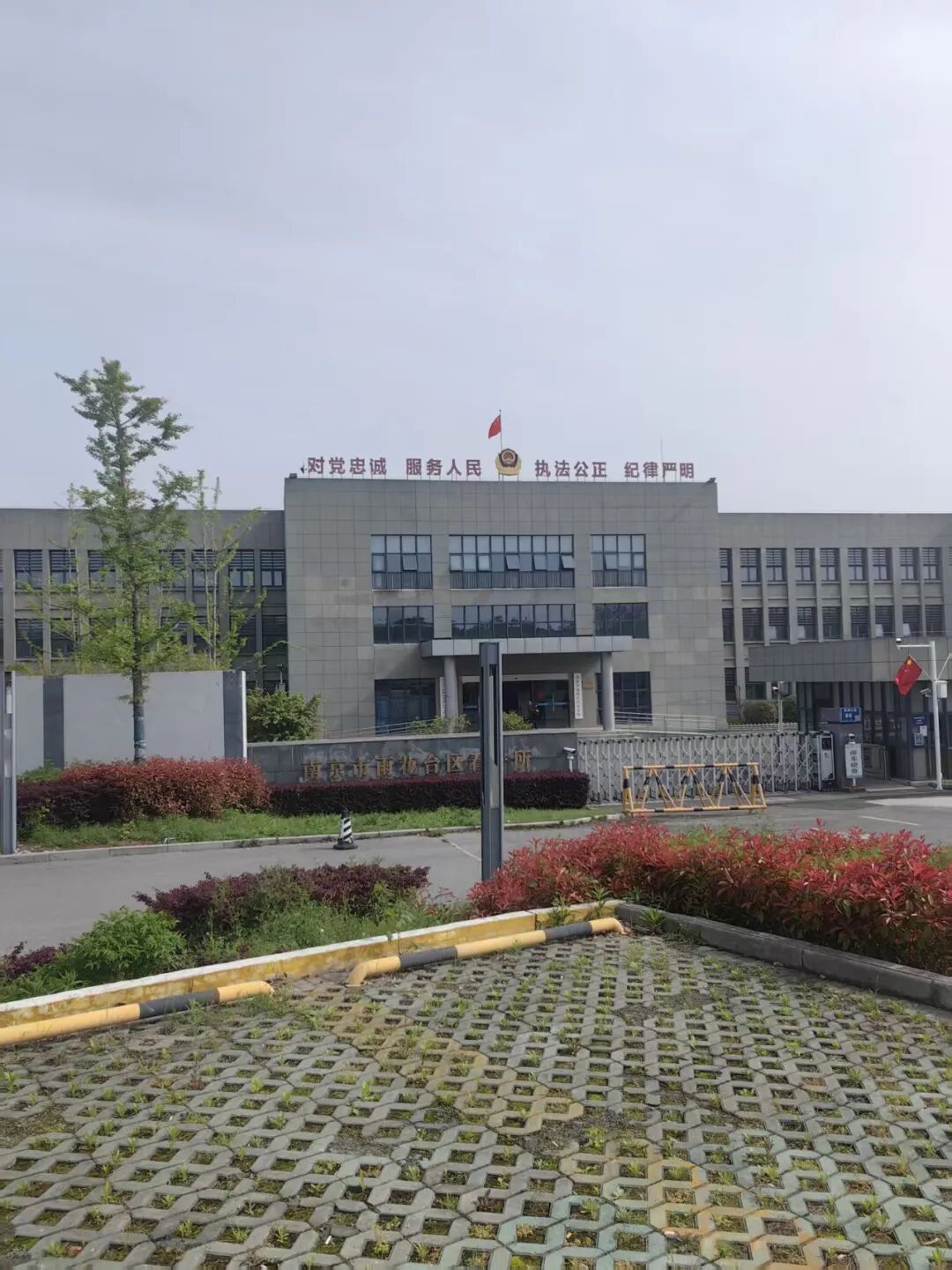 奔跑的蚂蚁｜2026年 第七周：实干赴初心，专业护公正