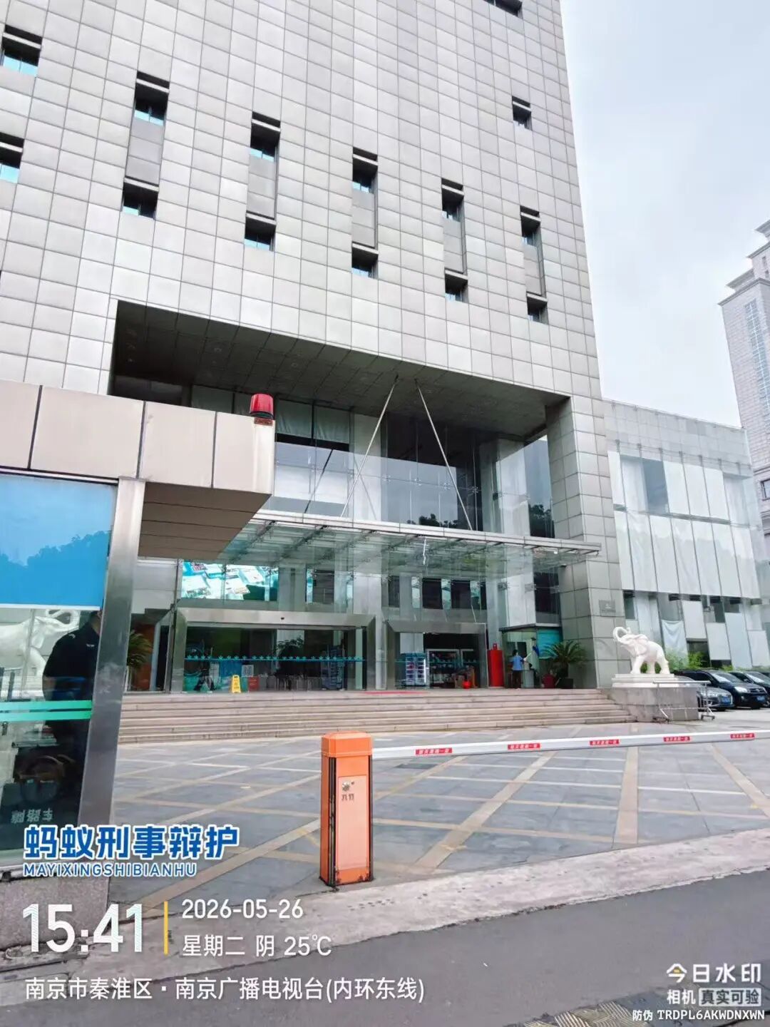 奔跑的蚂蚁｜2026年 第十四周：攻坚疑难案务，笃行法治担当